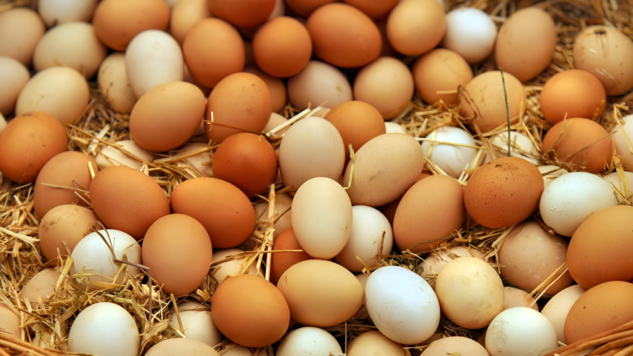 GRIPE AVIÁRIA NO RS PROVOCA EMBARGOS E PODE BAIXAR PREÇO DO FRANGO E OVOS 